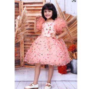 Babyshop partywear frock