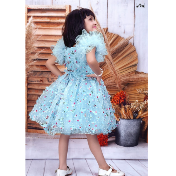 babyshopnearme.com-partyfrock