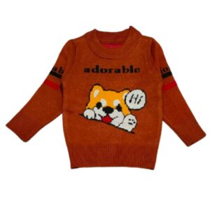 babyshopnearme.com-sweater