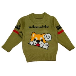 babyshopnearme.com-sweater