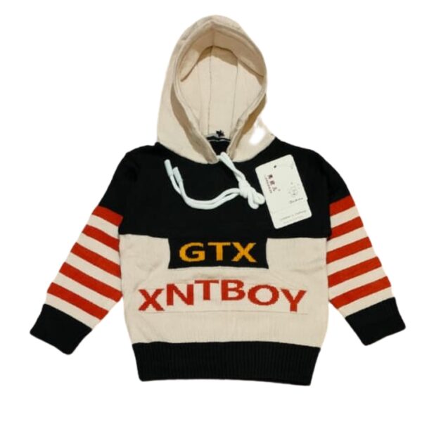 babyshopnearme.com-sweater hoodie